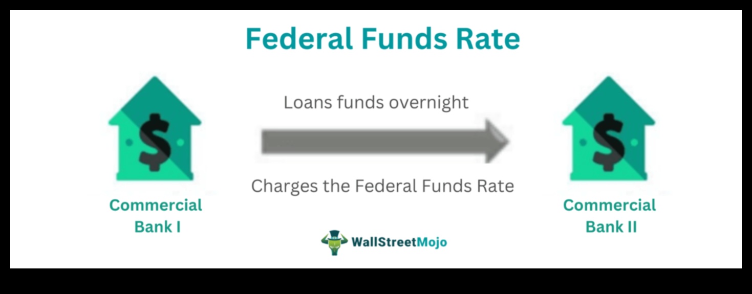 what is the federal funds rate